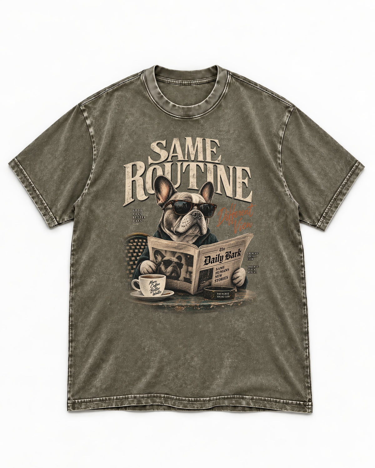 Frenchie Same Routine Different View Graphic Washed Tee in Army Green, flat lay product photo
