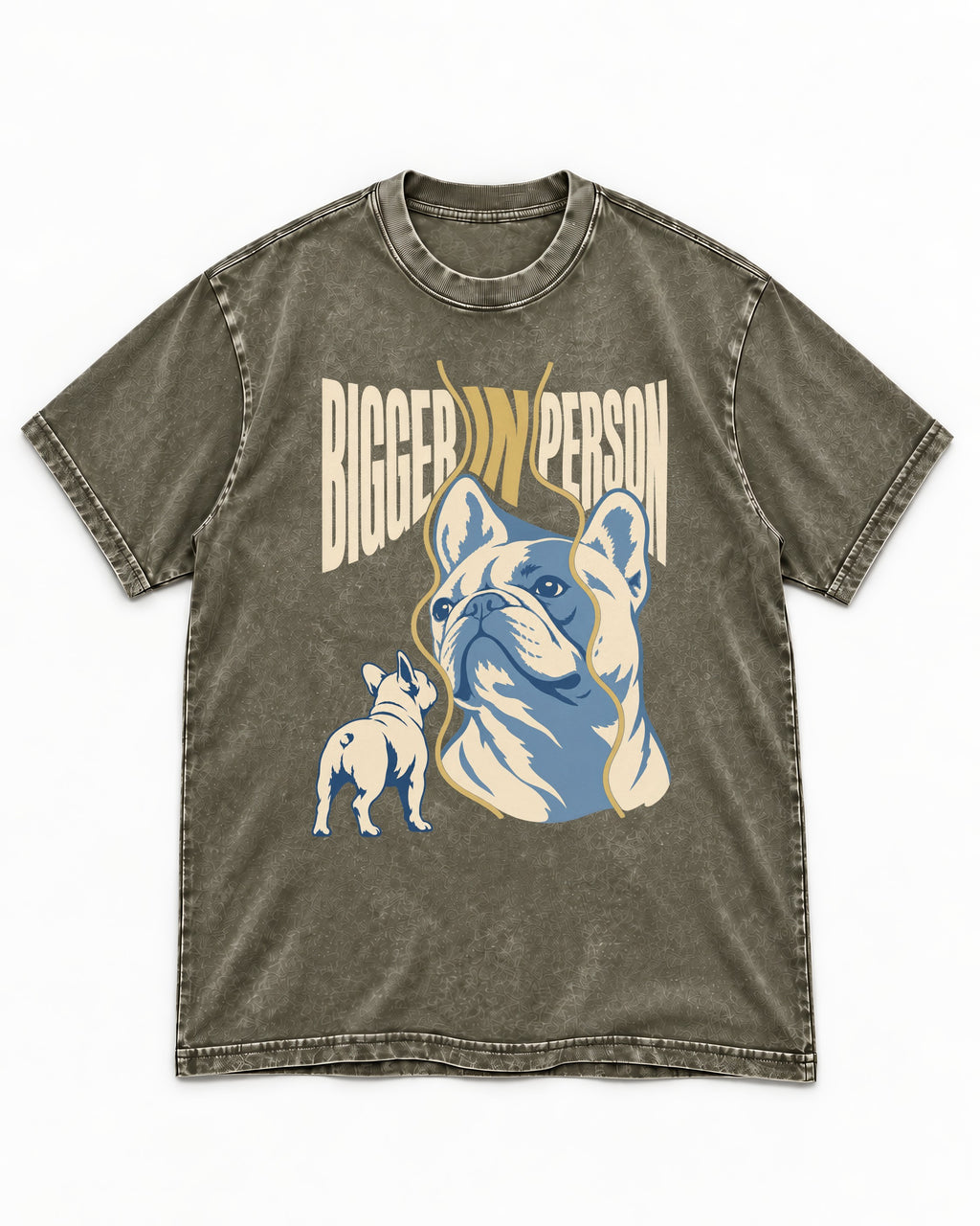 Frenchie Bigger in Person Mirror Graphic Washed Tee in Army Green, flat lay product photo