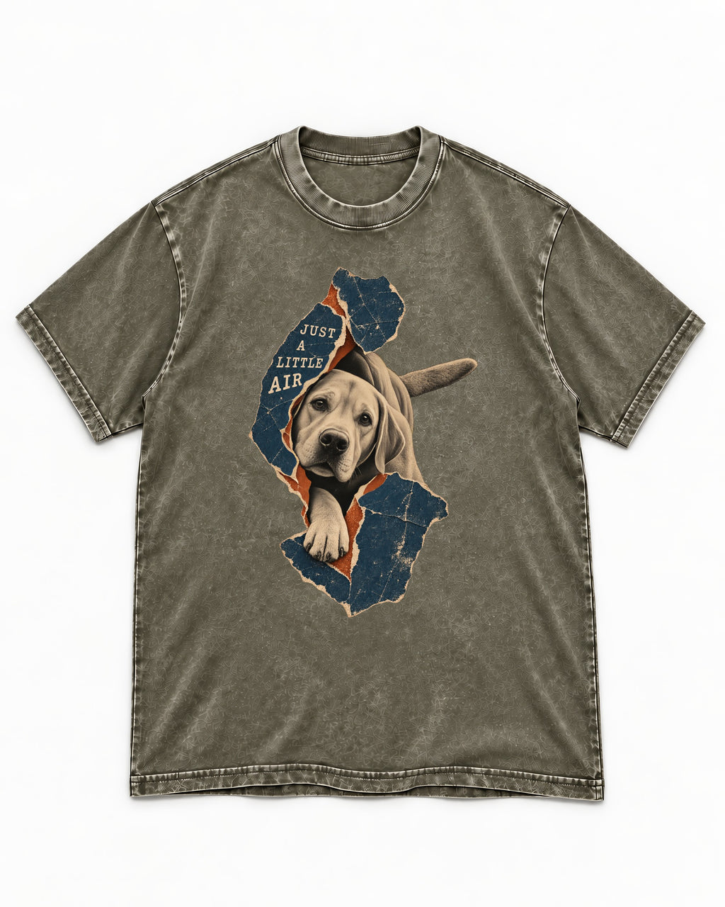 Labrador Retriever Just a Little Air Torn Paper Graphic Washed Tee in Army Green, flat lay product photo