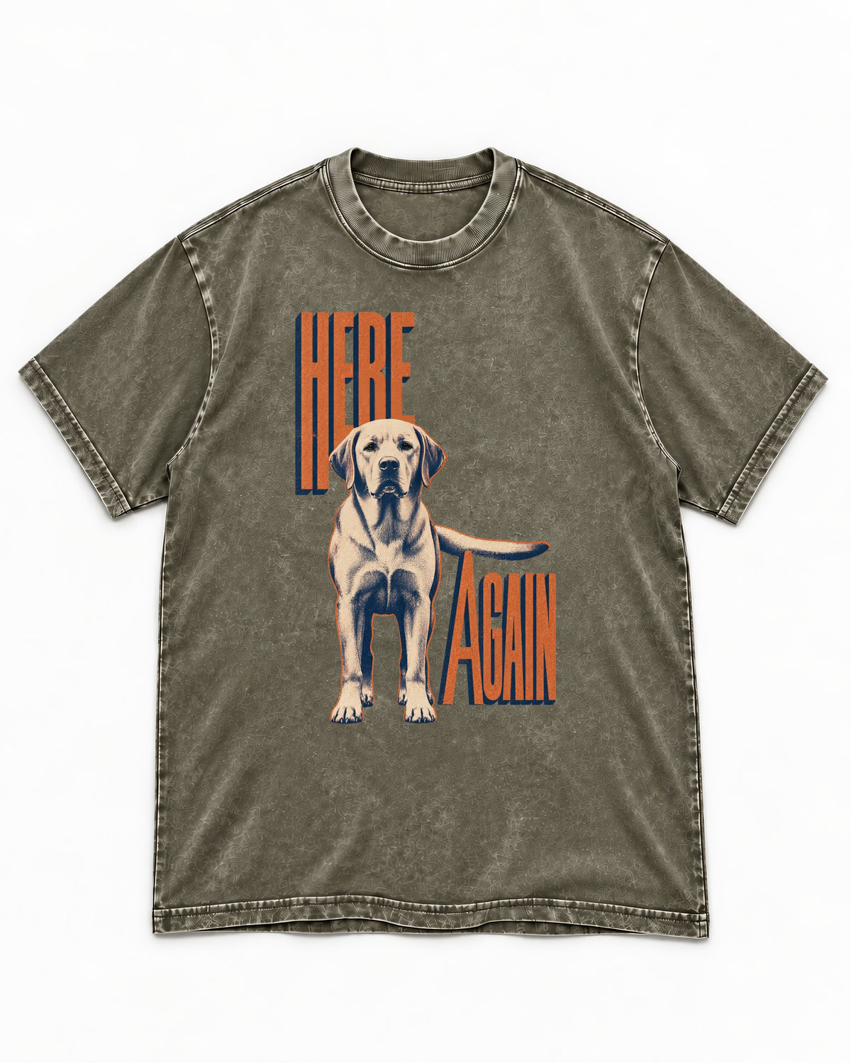 Labrador Retriever Here Again Standing Typography Graphic Washed Tee in Army Green, flat lay product photo