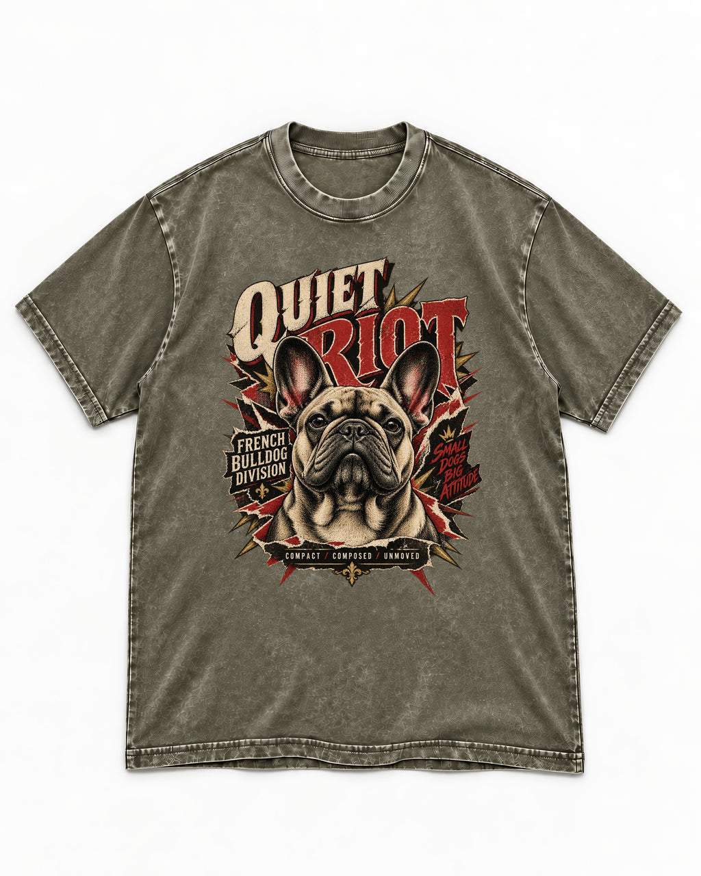 Frenchie Quiet Riot Division Emblem Washed Tee in Army Green, flat lay product photo