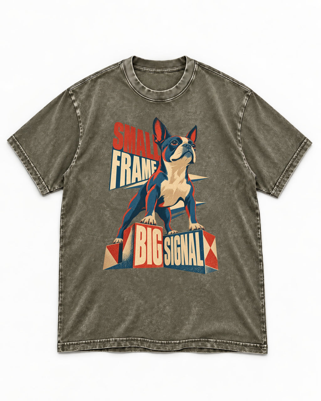 Small Frame Big Signal Boston Terrier Washed Tee in Army Green, flat lay product photo