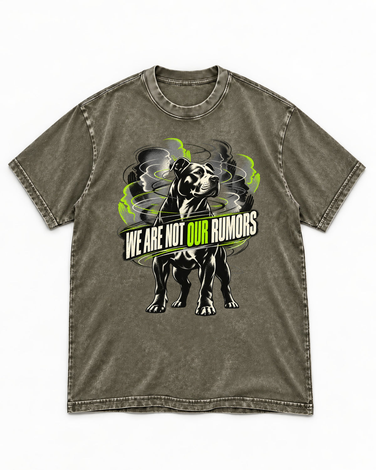 Pitbull We Are Not Our Rumors Swirling Voices Graphic Washed Tee in Army Green, flat lay product photo
