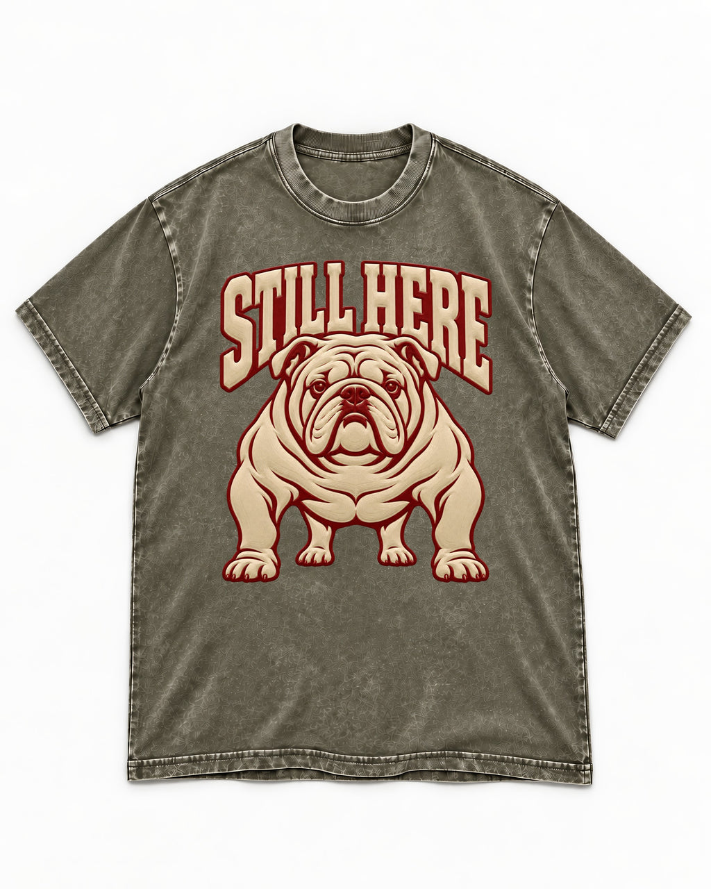 English Bulldog Still Here Collegiate Graphic Washed Tee in Army Green, flat lay product photo