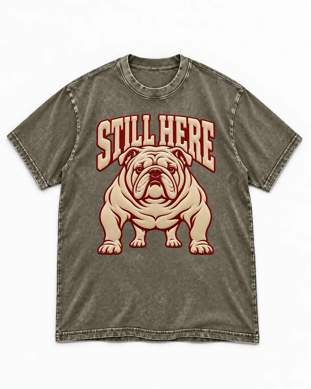 English Bulldog Still Here Collegiate Graphic Washed Tee in Army Green, flat lay product photo