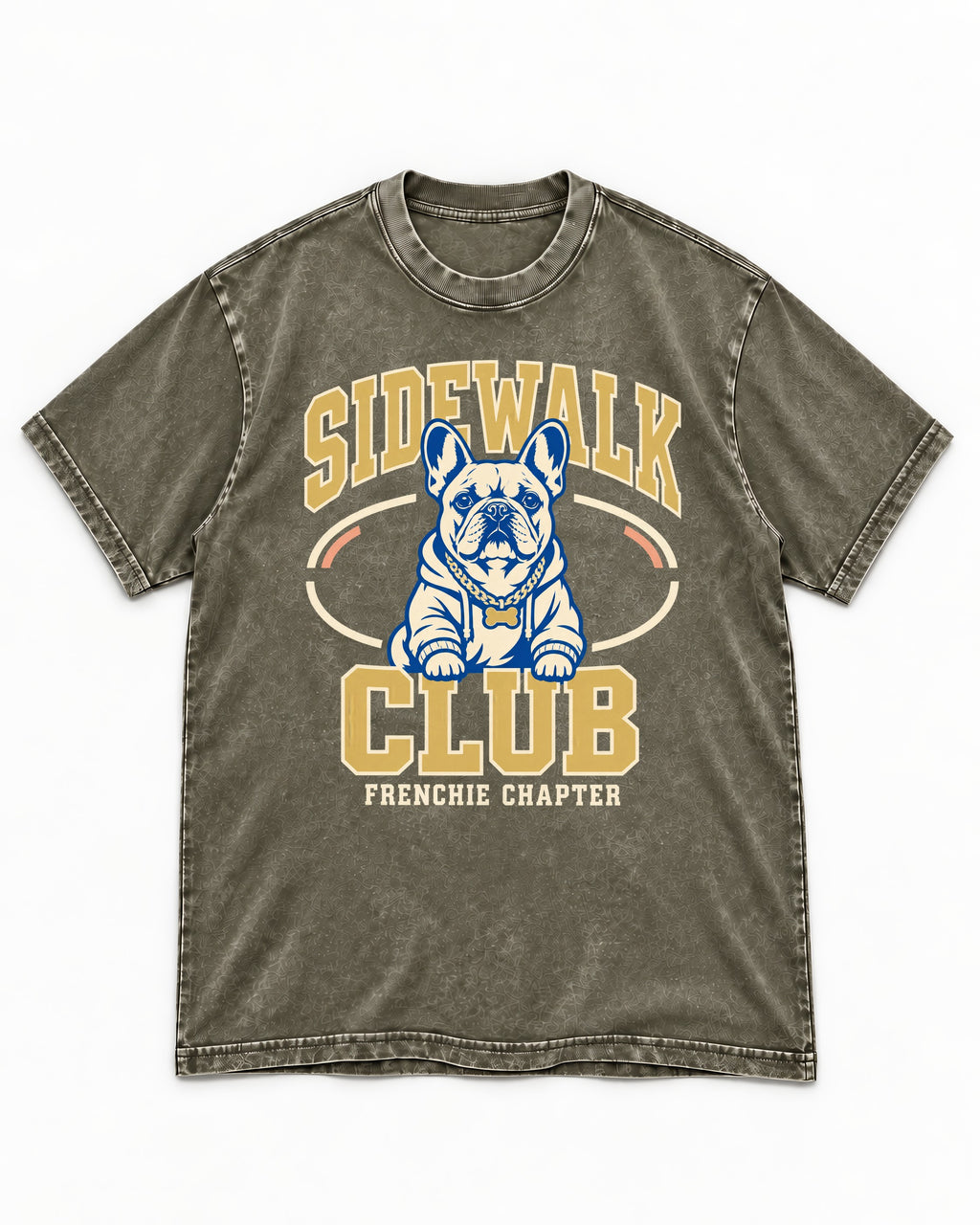Frenchie Sidewalk Club Chapter Graphic Washed Tee in Army Green, flat lay product photo