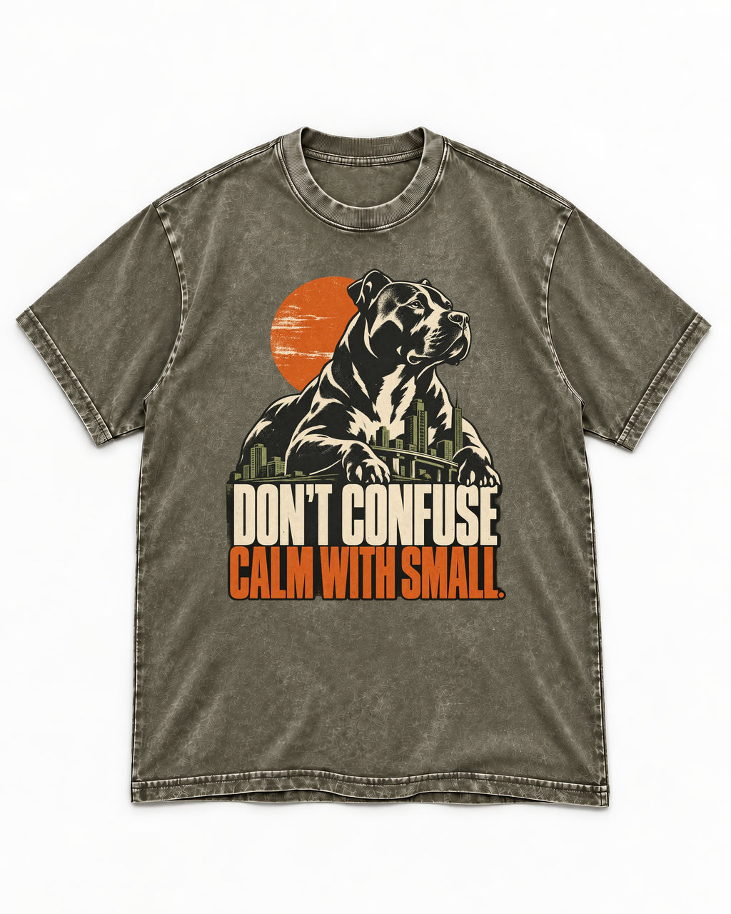 Pitbull Don't Confuse Calm with Small City Guardian Graphic Washed Tee in Army Green, flat lay product photo