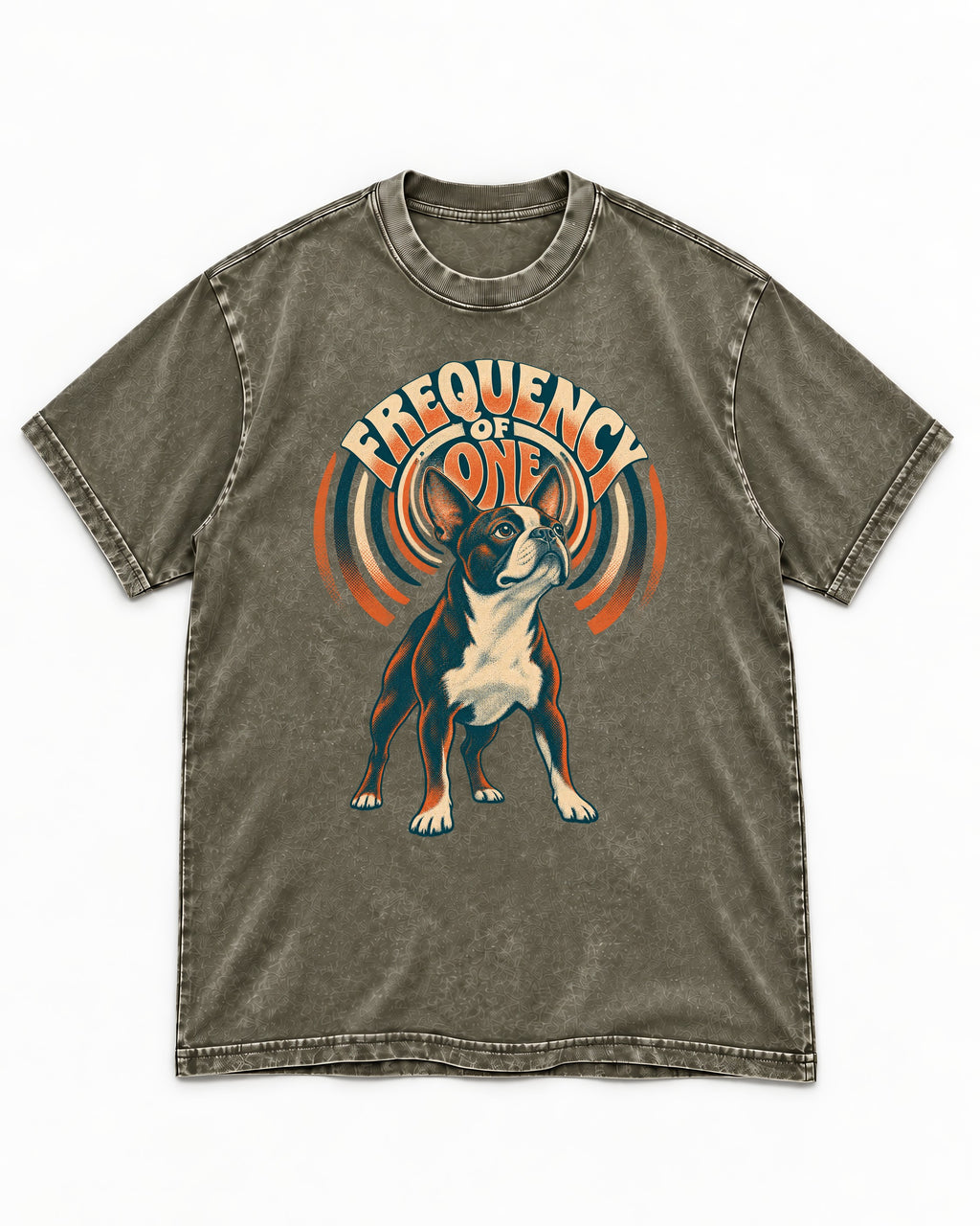 Frequency of One Boston Terrier Graphic Washed Tee in Army Green, flat lay product photo