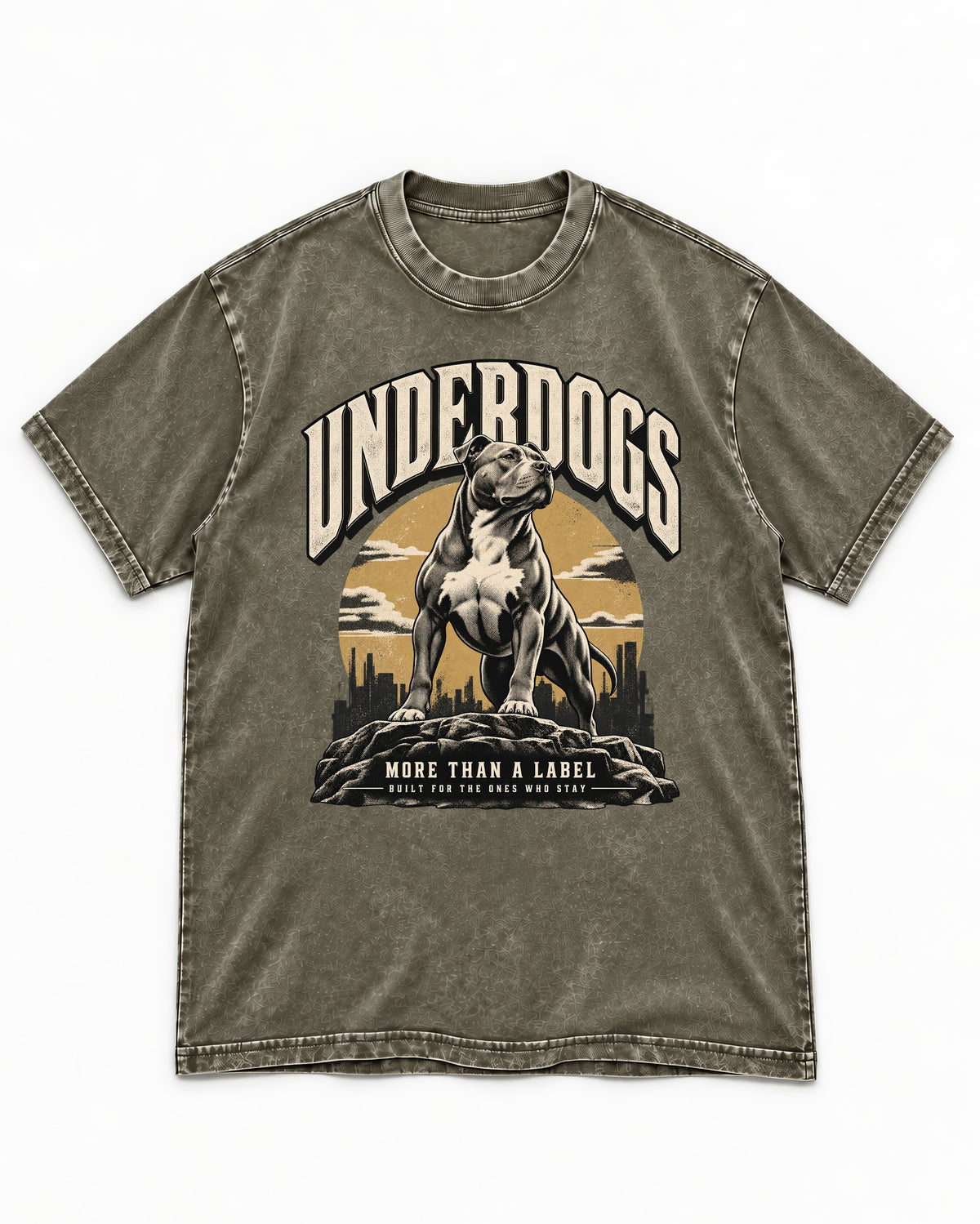 Pitbull Underdogs City Monument Graphic Washed Tee in Army Green, flat lay product photo