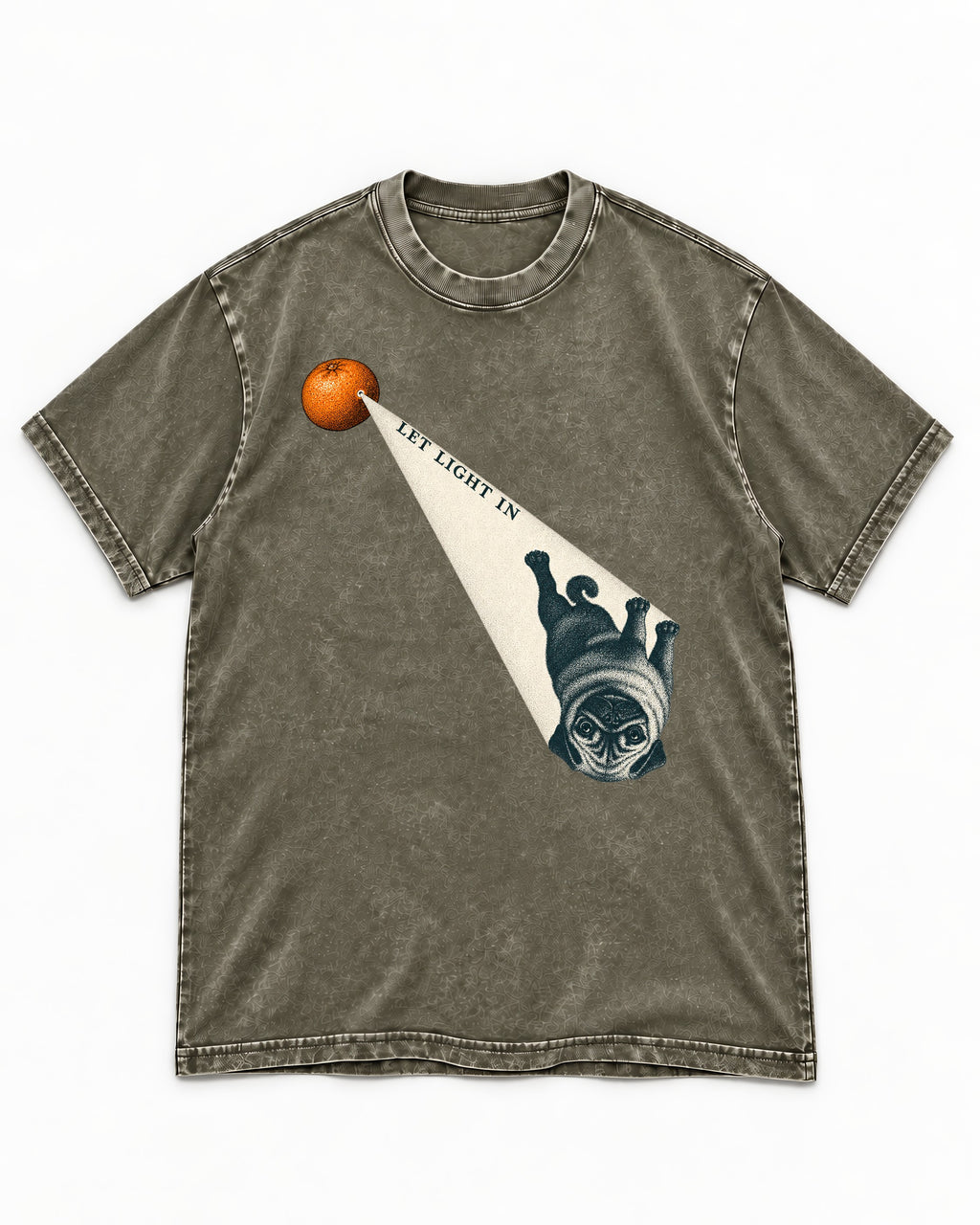 Pug Let Light In Camera Obscura Graphic Washed Tee in Army Green, flat lay product photo