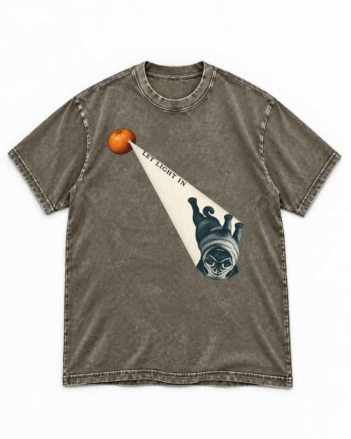 Pug Let Light In Camera Obscura Graphic Washed Tee in Army Green, flat lay product photo