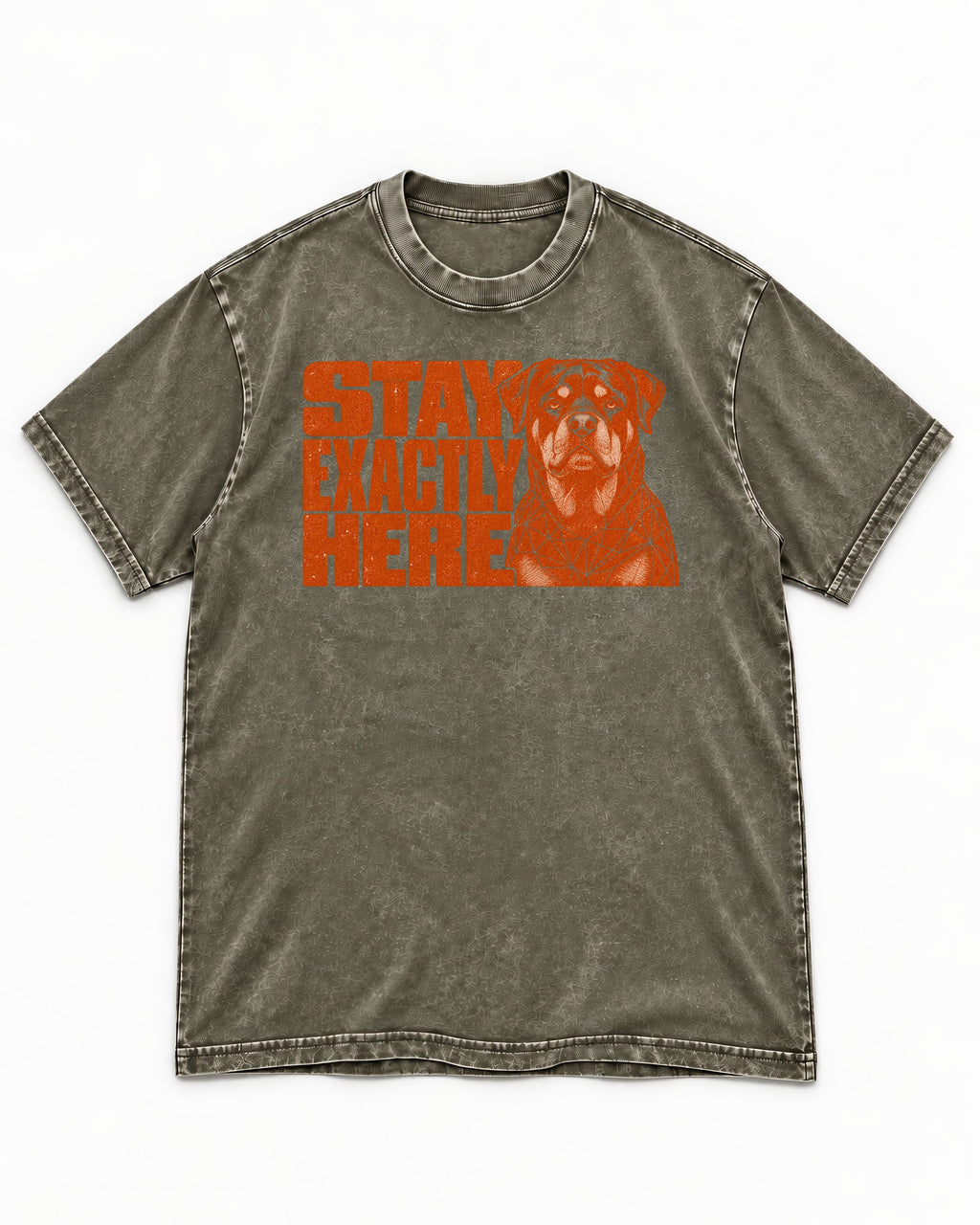 Rottweiler Stay Exactly Here Block Portrait Graphic Washed Tee in Army Green, flat lay product photo