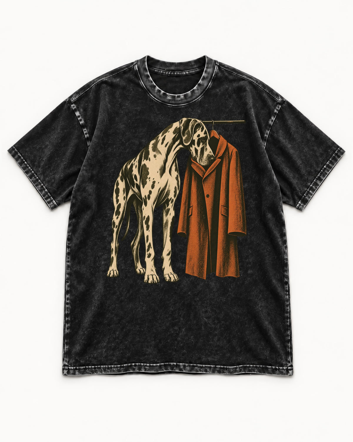 Great Dane Harlequin Coat Rack Overcoat Graphic Washed Tee in Black, flat lay product photo