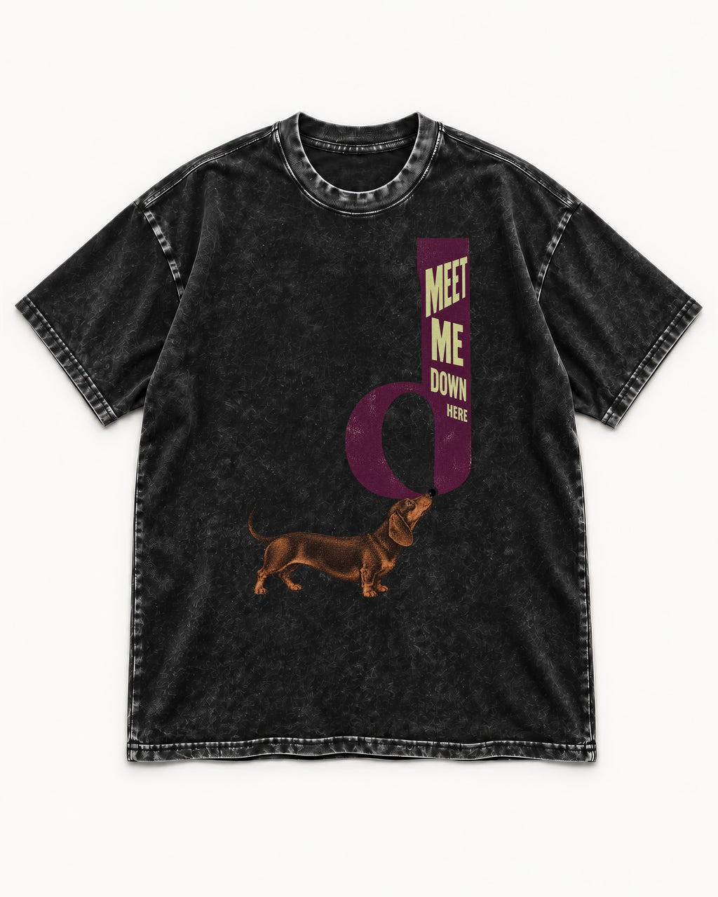 Dachshund Meet Me Down Here Letterform Loop Graphic Washed Tee in Black, flat lay product photo