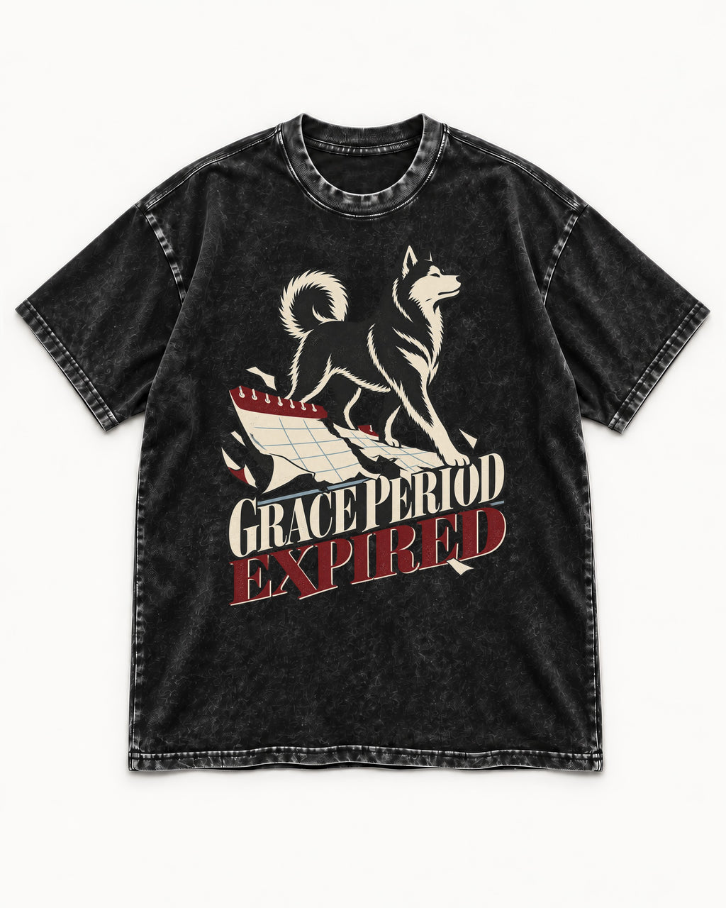 Husky Grace Period Expired Torn Calendar Graphic Washed Tee in Black, flat lay product photo