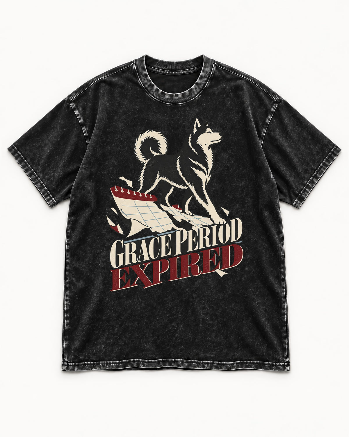 Husky Grace Period Expired Torn Calendar Graphic Washed Tee in Black, flat lay product photo