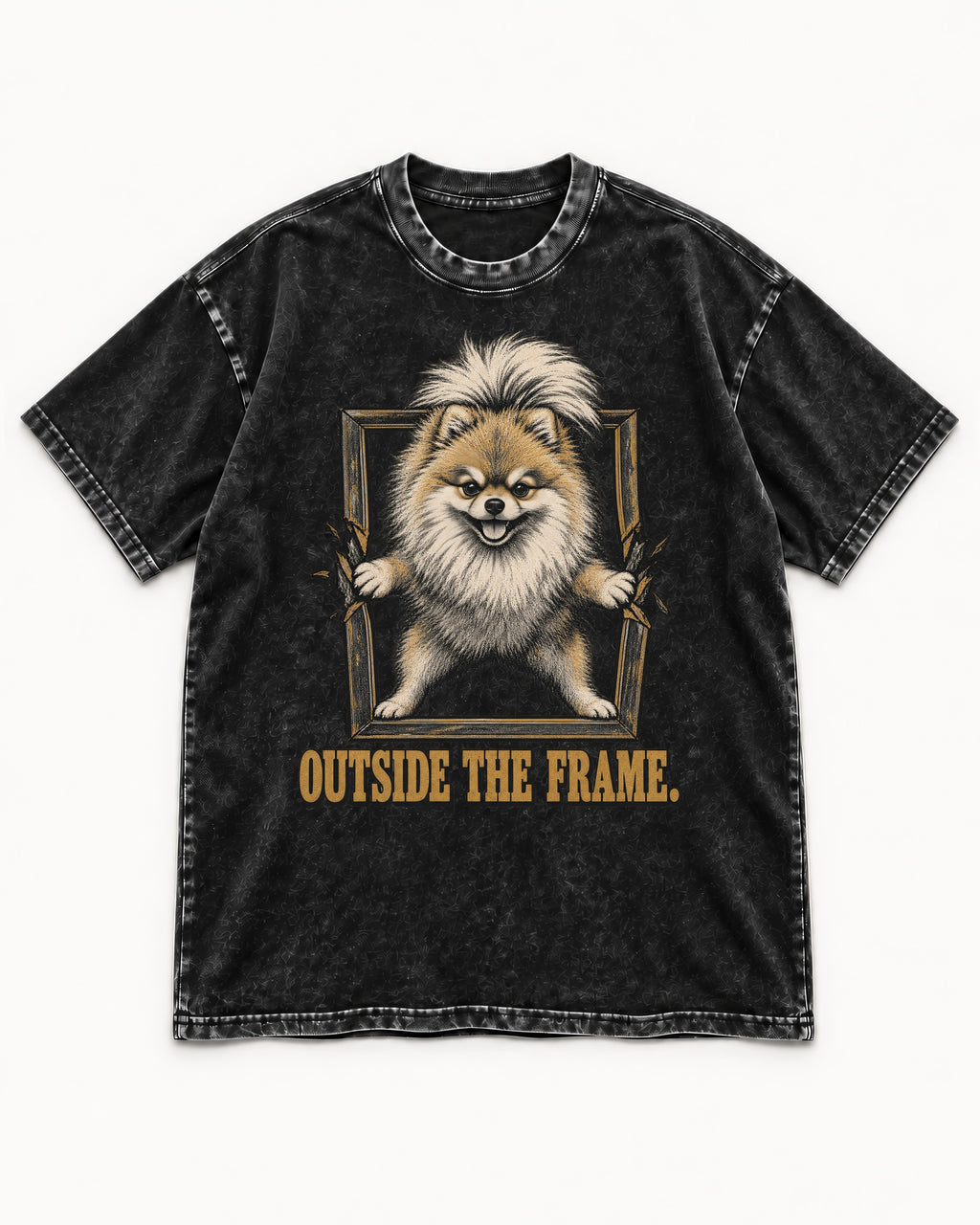 Pomeranian Outside the Frame Breakthrough Graphic Washed Tee in Black, flat lay product photo