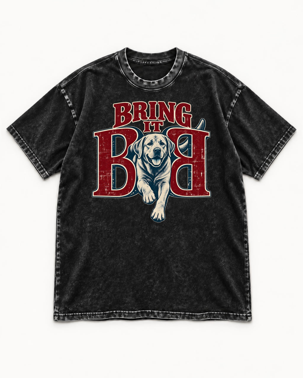 Labrador Retriever Bring It Opposing B Portrait Graphic Washed Tee in Black, flat lay product photo