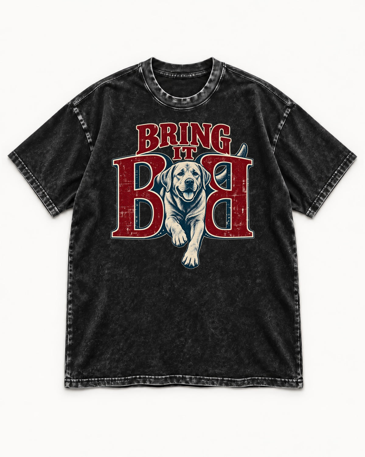 Labrador Retriever Bring It Opposing B Portrait Graphic Washed Tee in Black, flat lay product photo