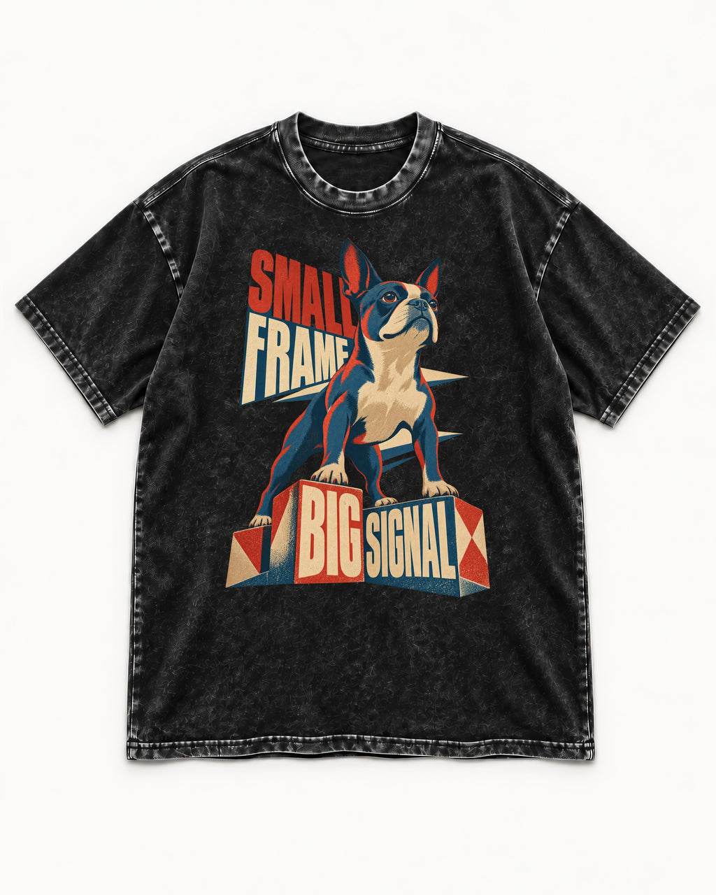 Small Frame Big Signal Boston Terrier Washed Tee in Black, flat lay product photo