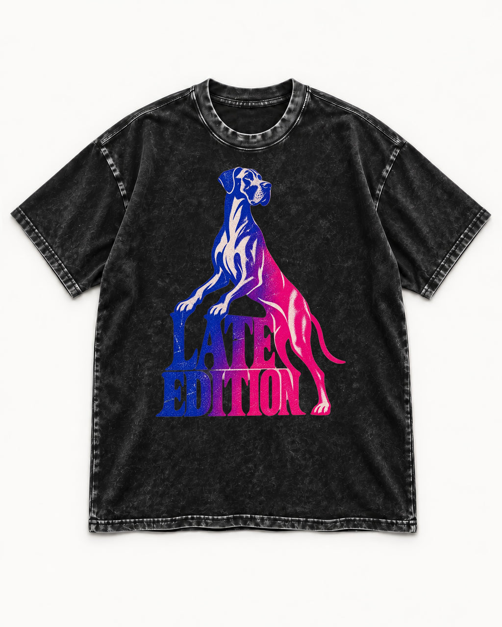 Great Dane Latest Edition Gradient Graphic Washed Tee in Black, flat lay product photo