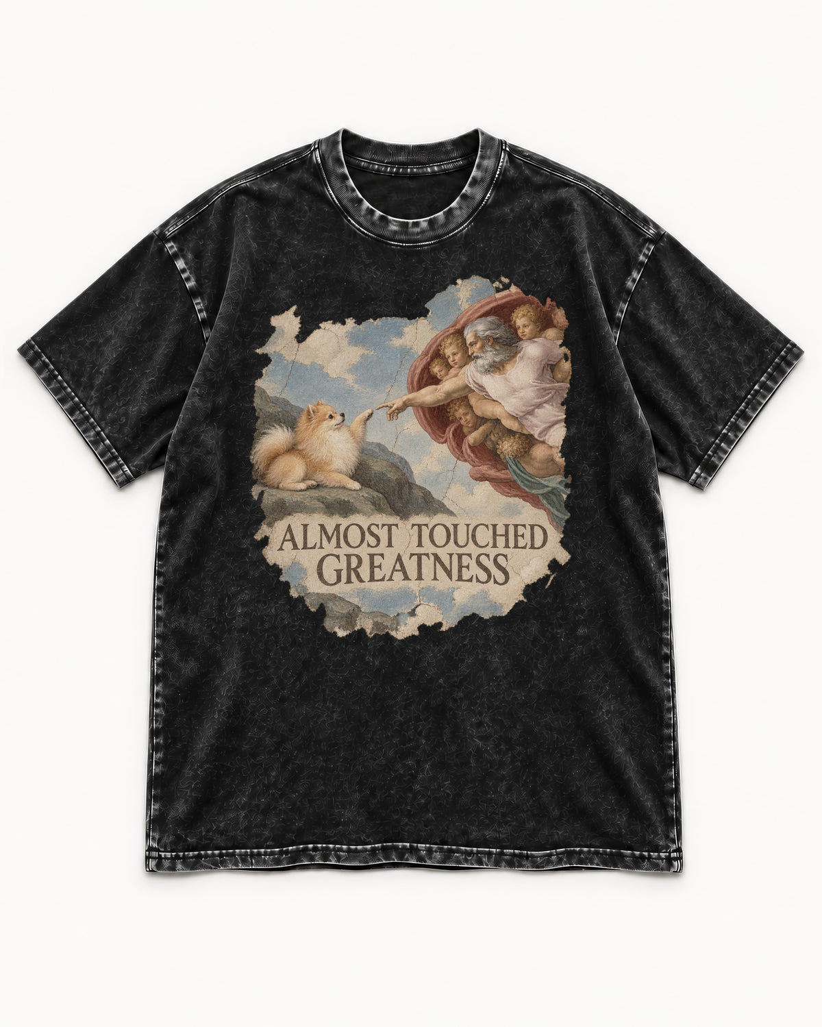 Pomeranian Almost Touched Greatness Fresco Graphic Washed Tee in Black, flat lay product photo