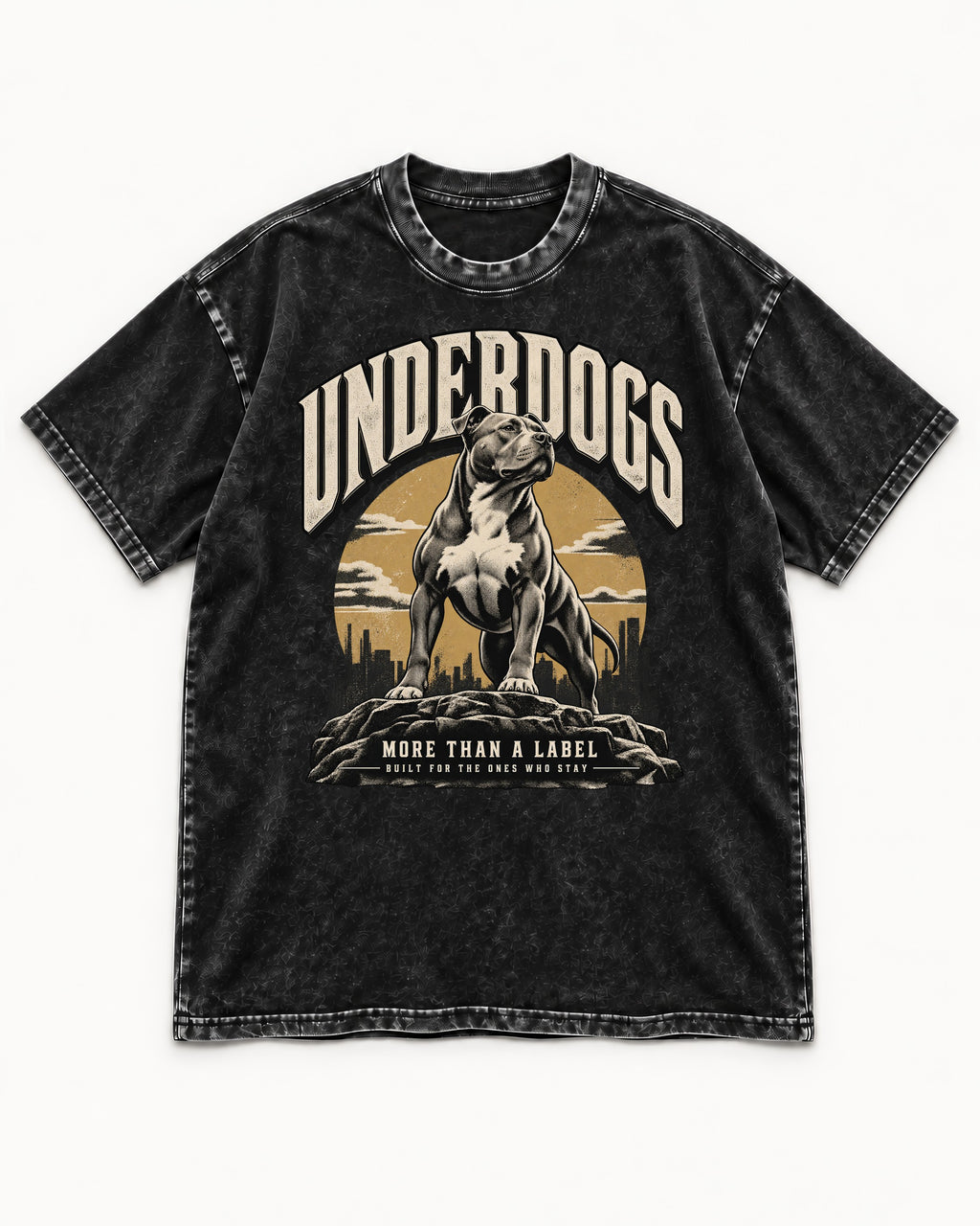 Pitbull Underdogs City Monument Graphic Washed Tee in Black, flat lay product photo