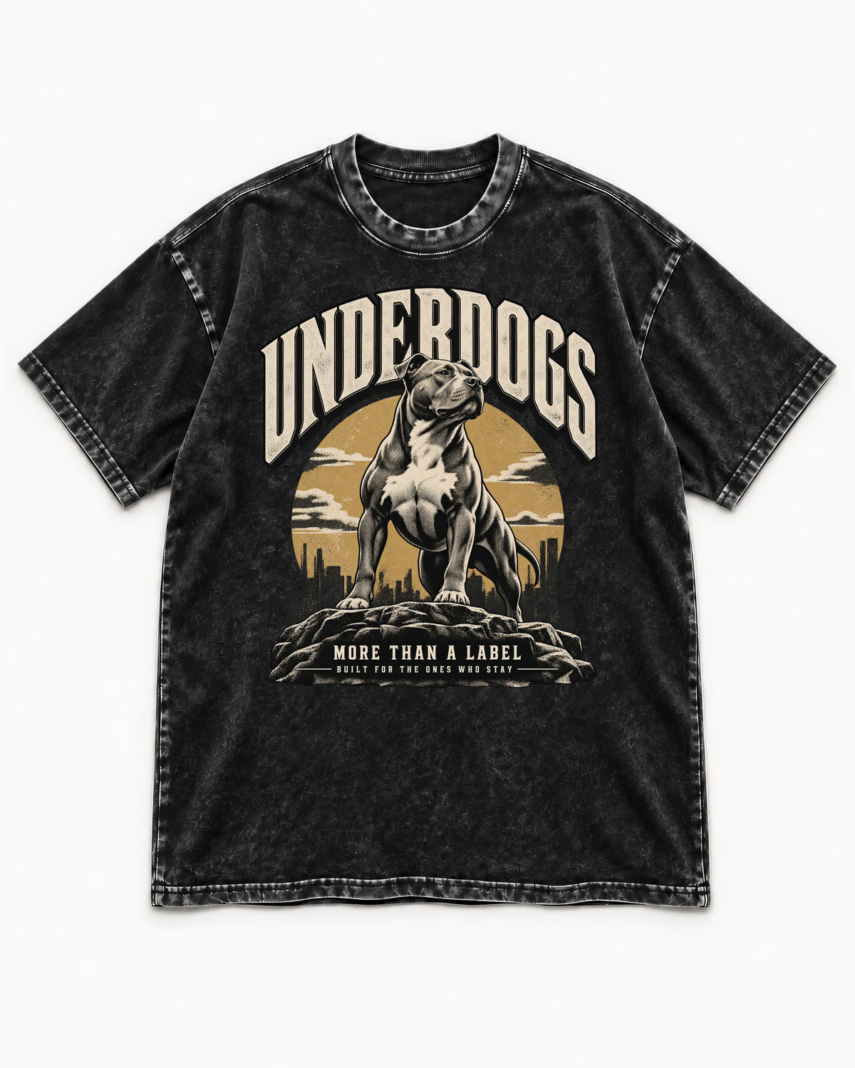 Pitbull Underdogs City Monument Graphic Washed Tee in Black, flat lay product photo