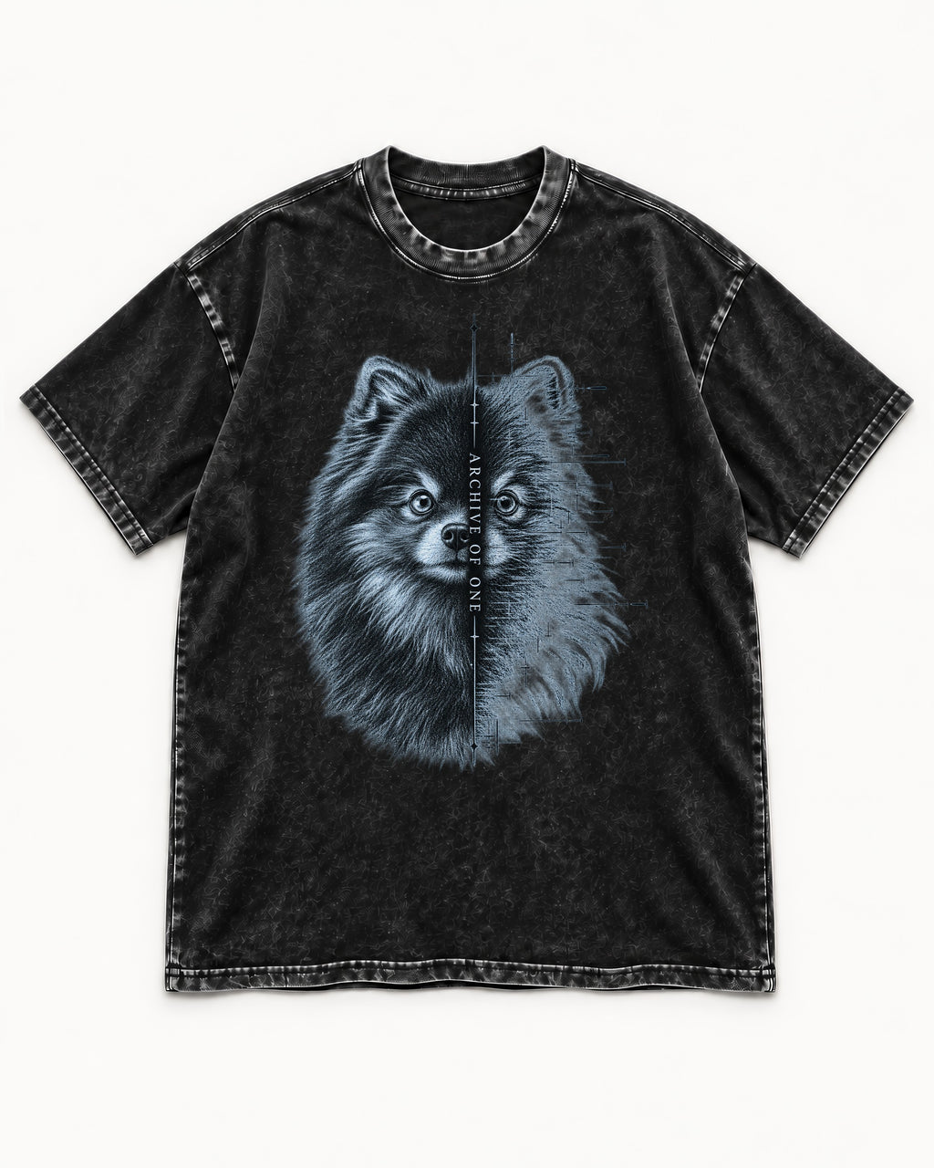 Pomeranian Archive of One Split Portrait Graphic Washed Tee in Black, flat lay product photo