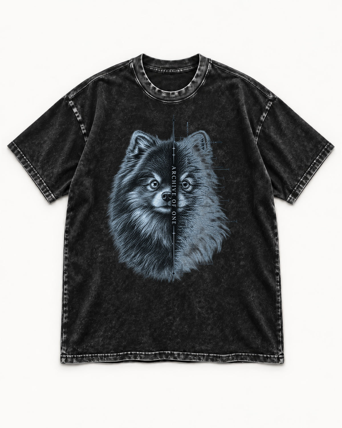 Pomeranian Archive of One Split Portrait Graphic Washed Tee in Black, flat lay product photo