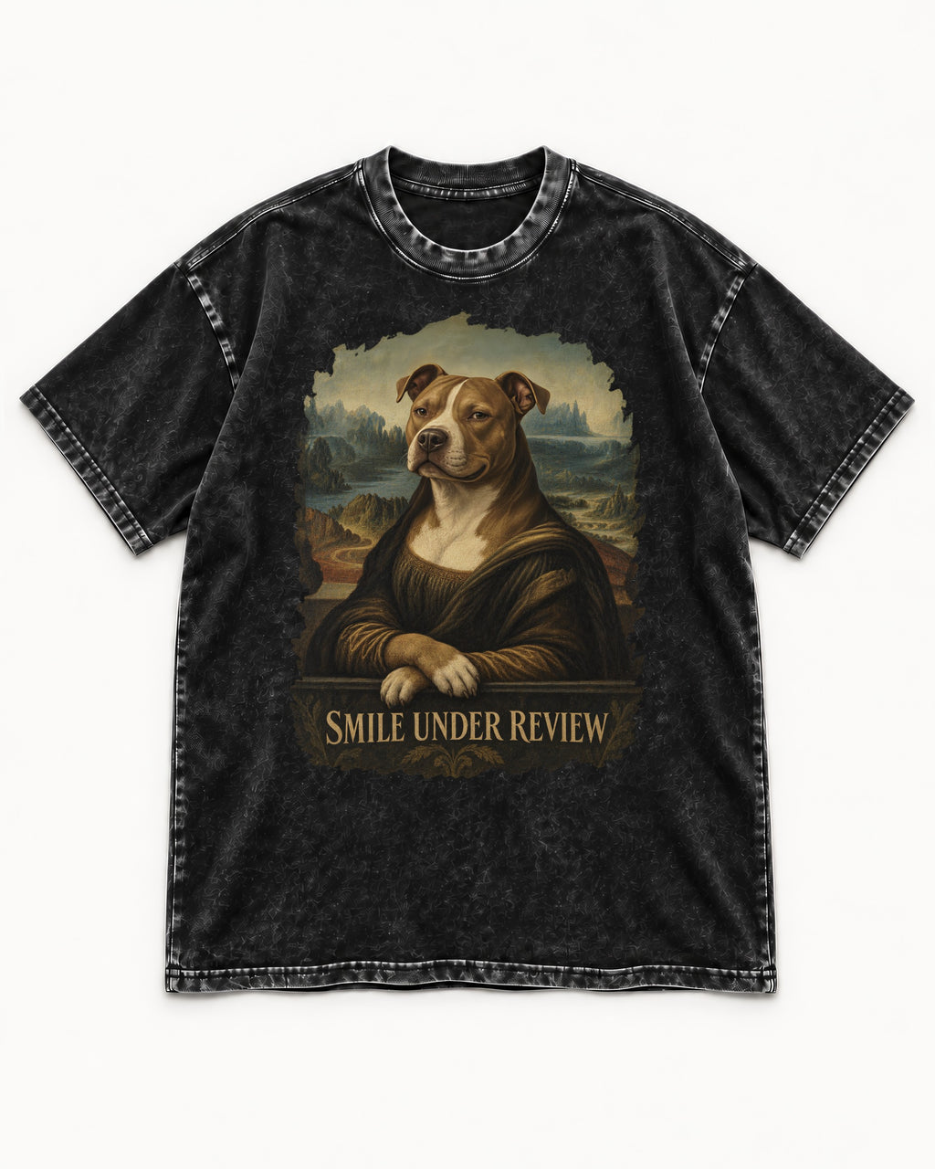 Pitbull Smile Under Review Renaissance Portrait Graphic Washed Tee in Black, flat lay product photo