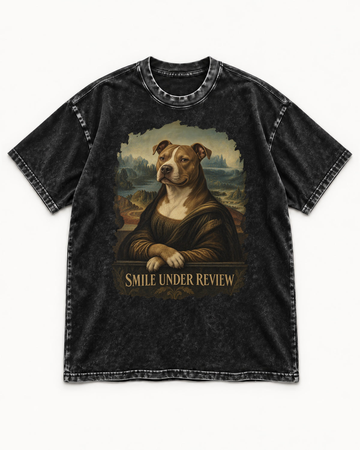 Pitbull Smile Under Review Renaissance Portrait Graphic Washed Tee in Black, flat lay product photo