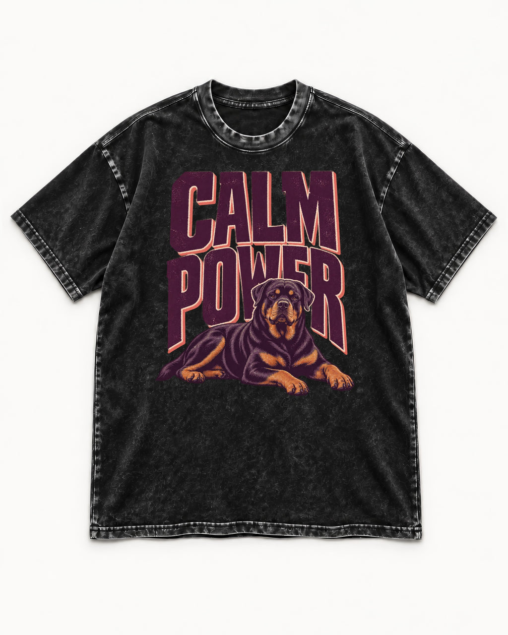 Rottweiler Calm Power Resting Dog Graphic Washed Tee in Black, flat lay product photo