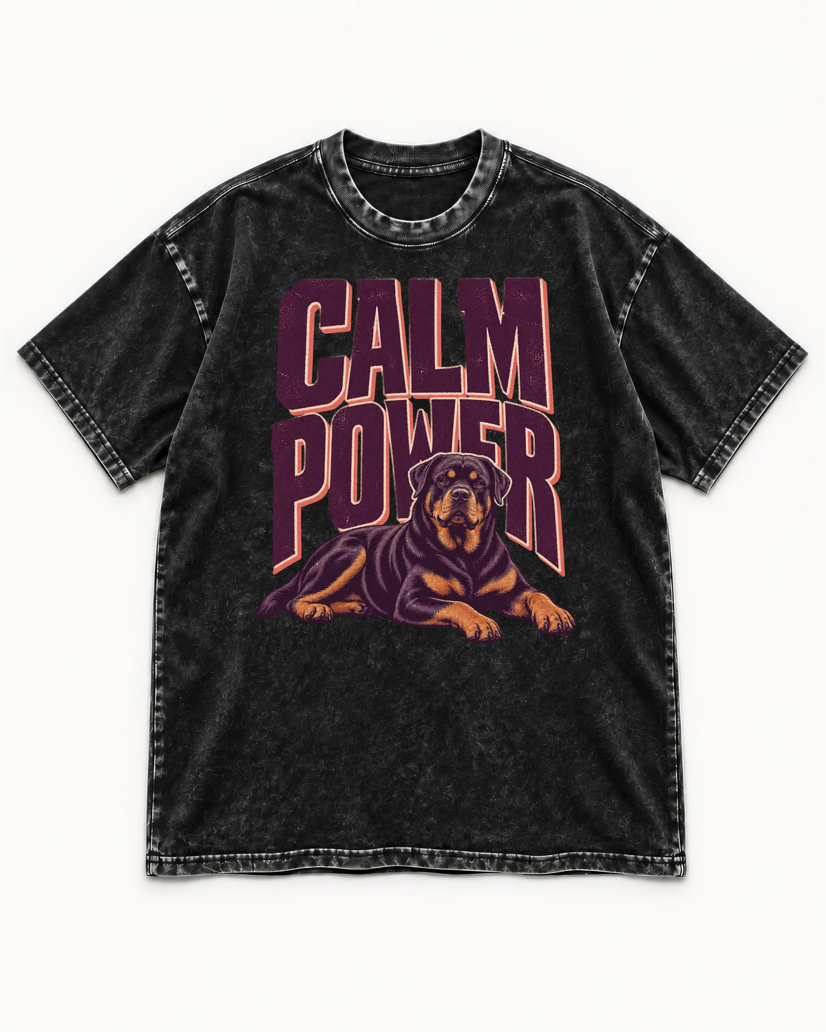 Rottweiler Calm Power Resting Dog Graphic Washed Tee in Black, flat lay product photo