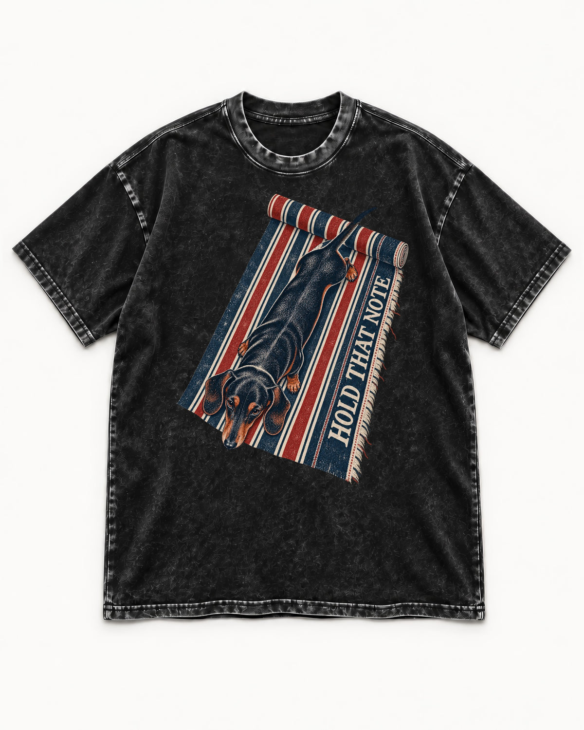 Dachshund Hold That Note Striped Rug Graphic Washed Tee in Black, flat lay product photo