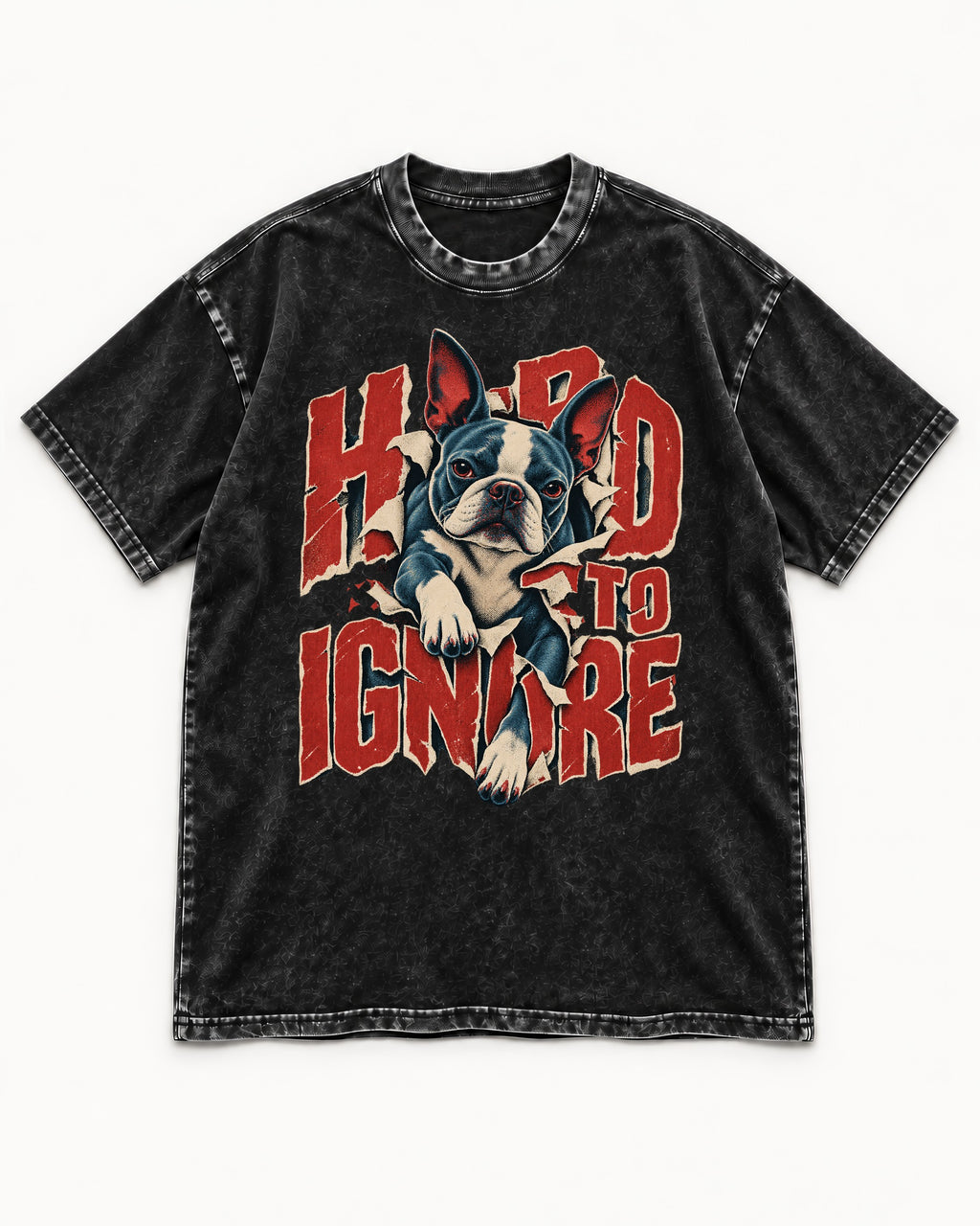 Hard to Ignore Boston Terrier Graphic Washed Tee in Black, flat lay product photo