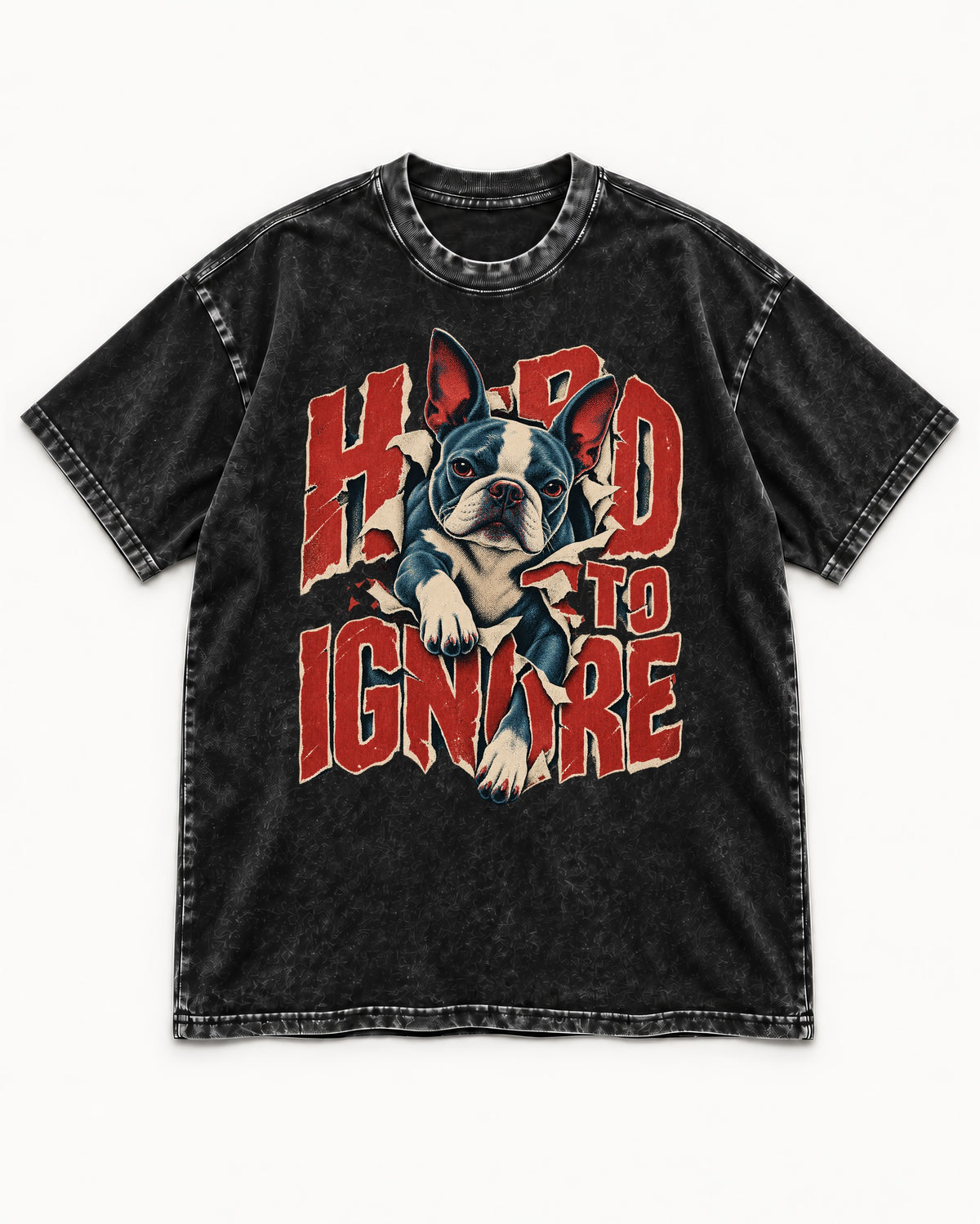 Hard to Ignore Boston Terrier Graphic Washed Tee in Black, flat lay product photo