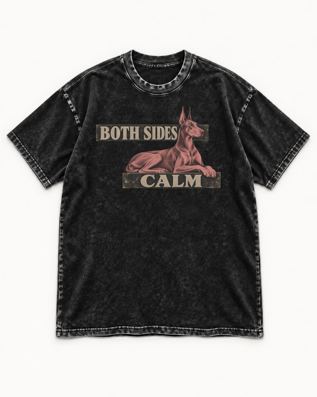 Doberman Both Sides Calm Banner Washed Tee in Black, flat lay product photo