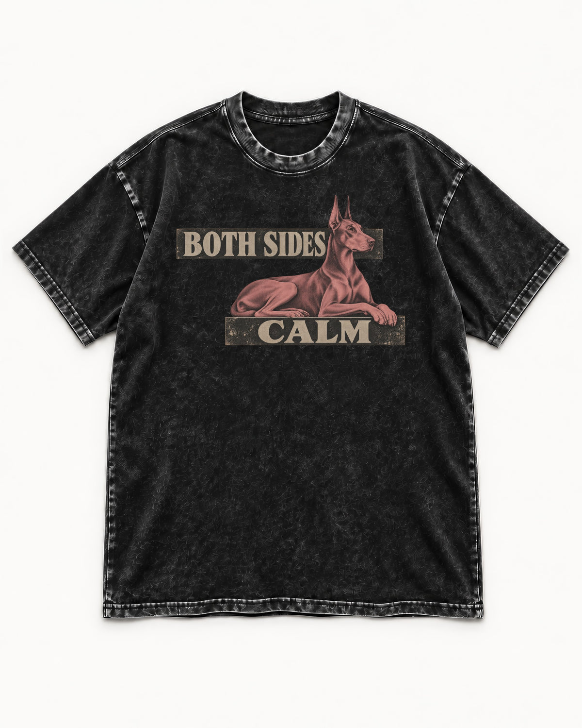 Doberman Both Sides Calm Banner Washed Tee in Black, flat lay product photo