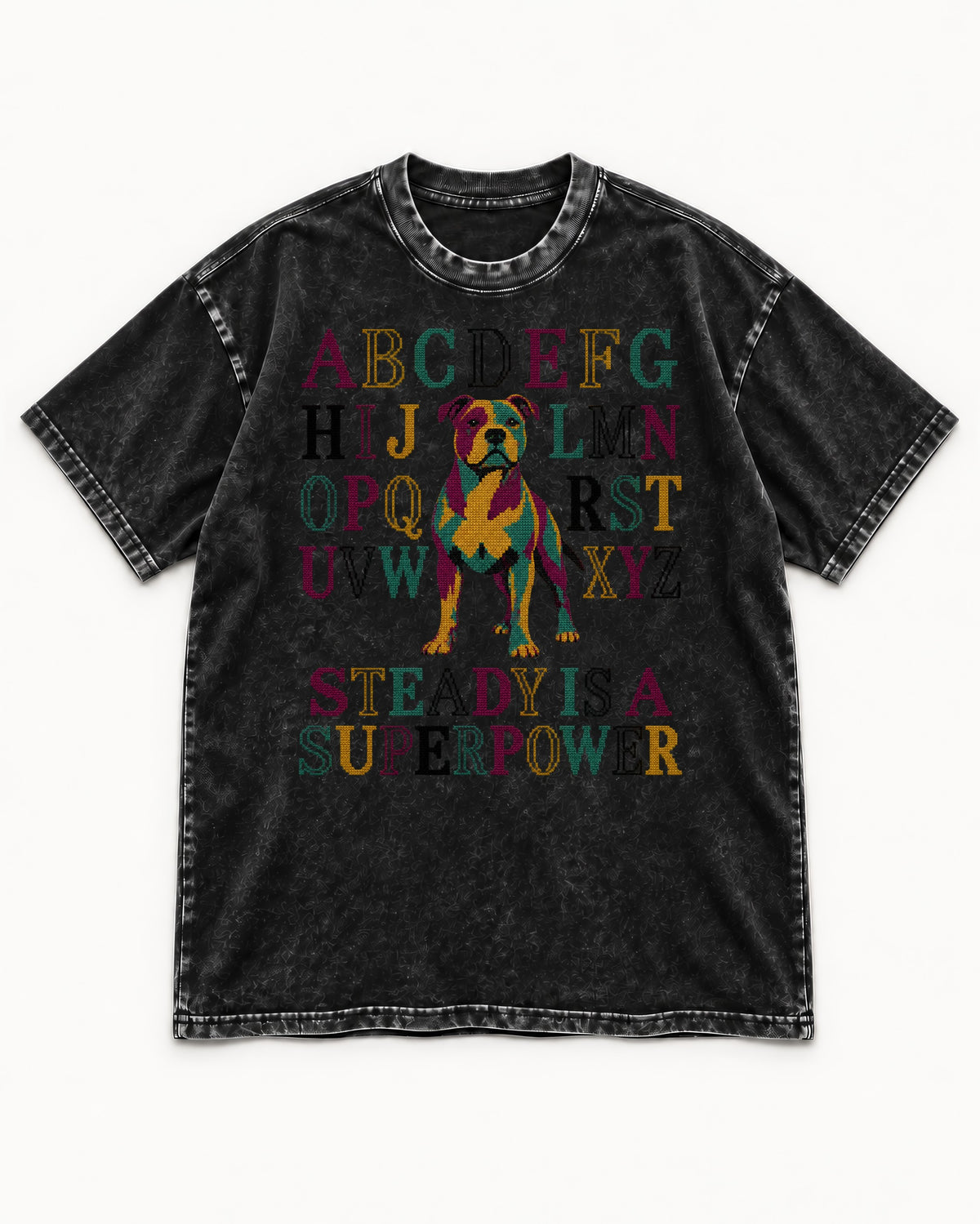 Pitbull Steady Is a Superpower Alphabet Graphic Washed Tee in Black, flat lay product photo