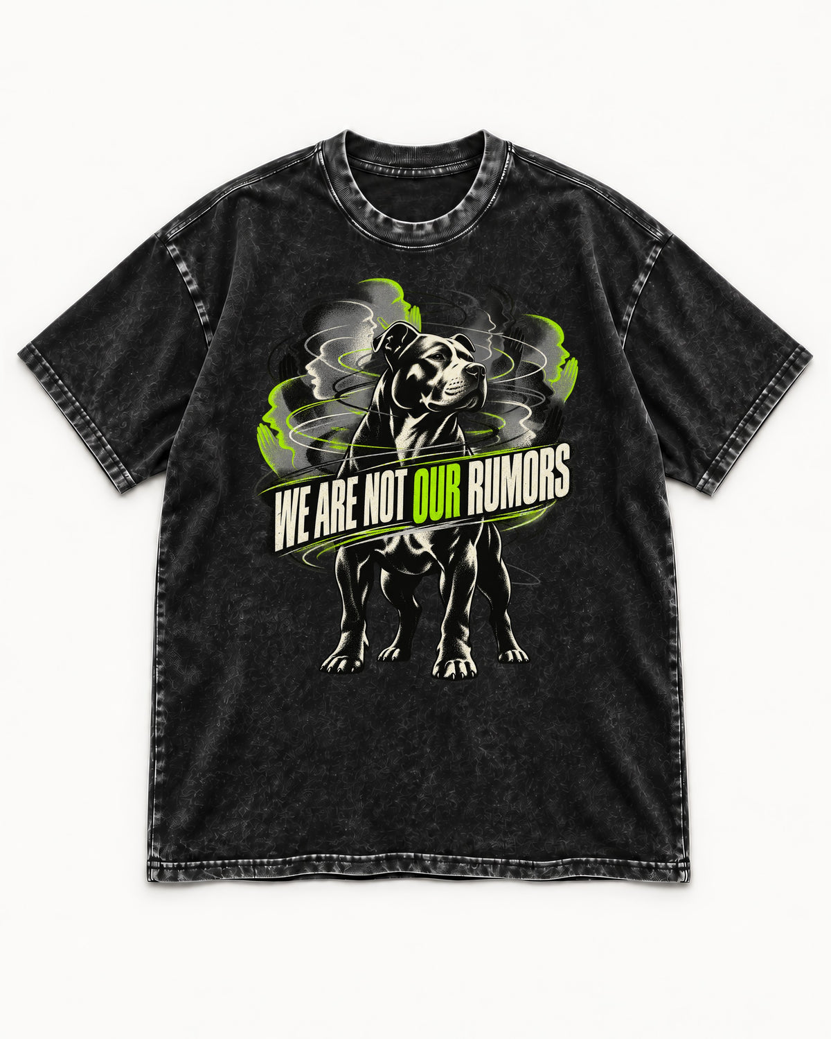 Pitbull We Are Not Our Rumors Swirling Voices Graphic Washed Tee in Black, flat lay product photo