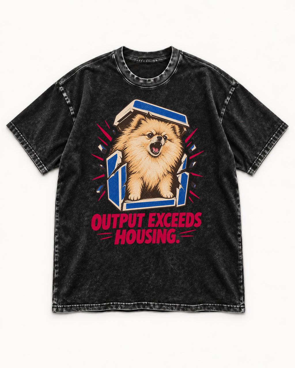 Pomeranian Output Exceeds Housing Bark Compression Graphic Washed Tee in Black, flat lay product photo