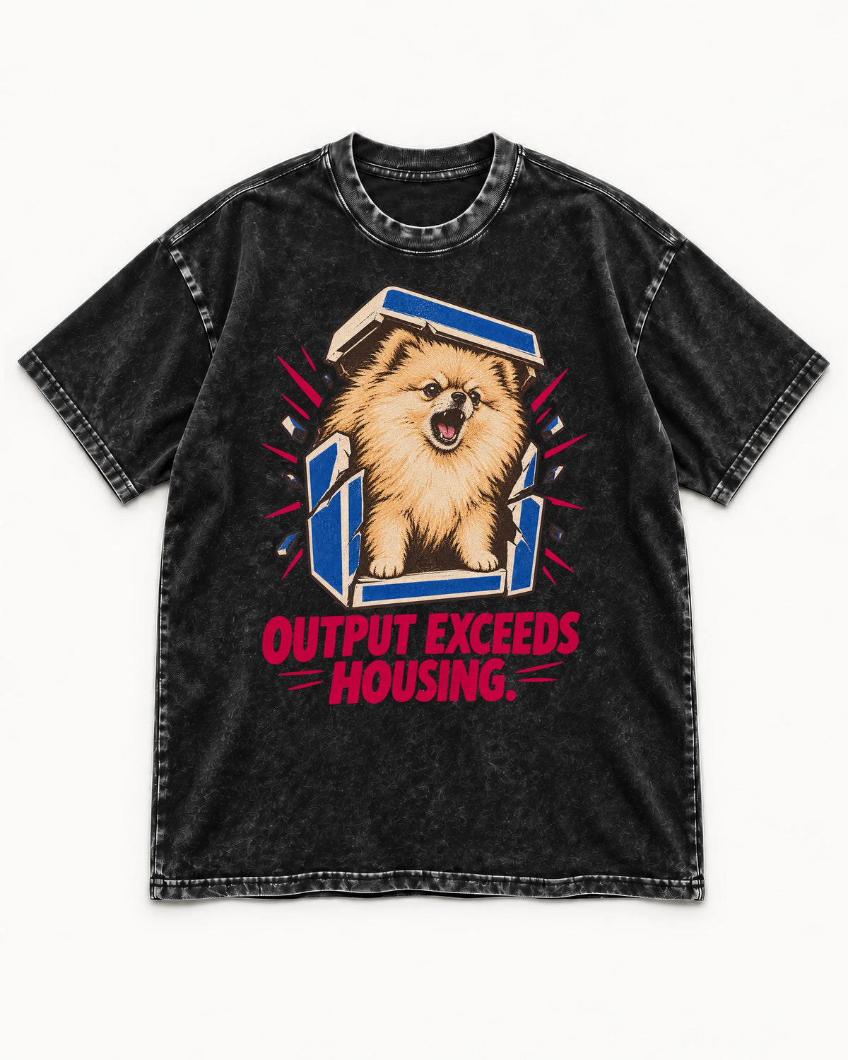Pomeranian Output Exceeds Housing Bark Compression Graphic Washed Tee in Black, flat lay product photo