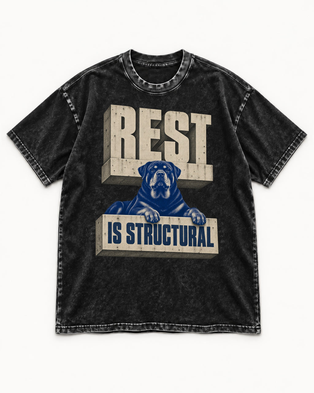 Rottweiler Rest Is Structural Architectural Type Graphic Washed Tee in Black, flat lay product photo