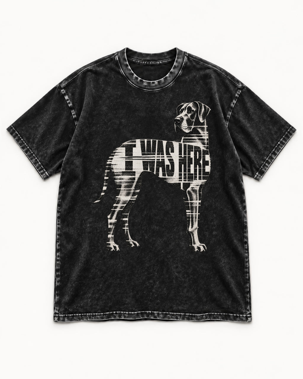 Great Dane I Was Here Plaid Silhouette Graphic Washed Tee in Black, flat lay product photo