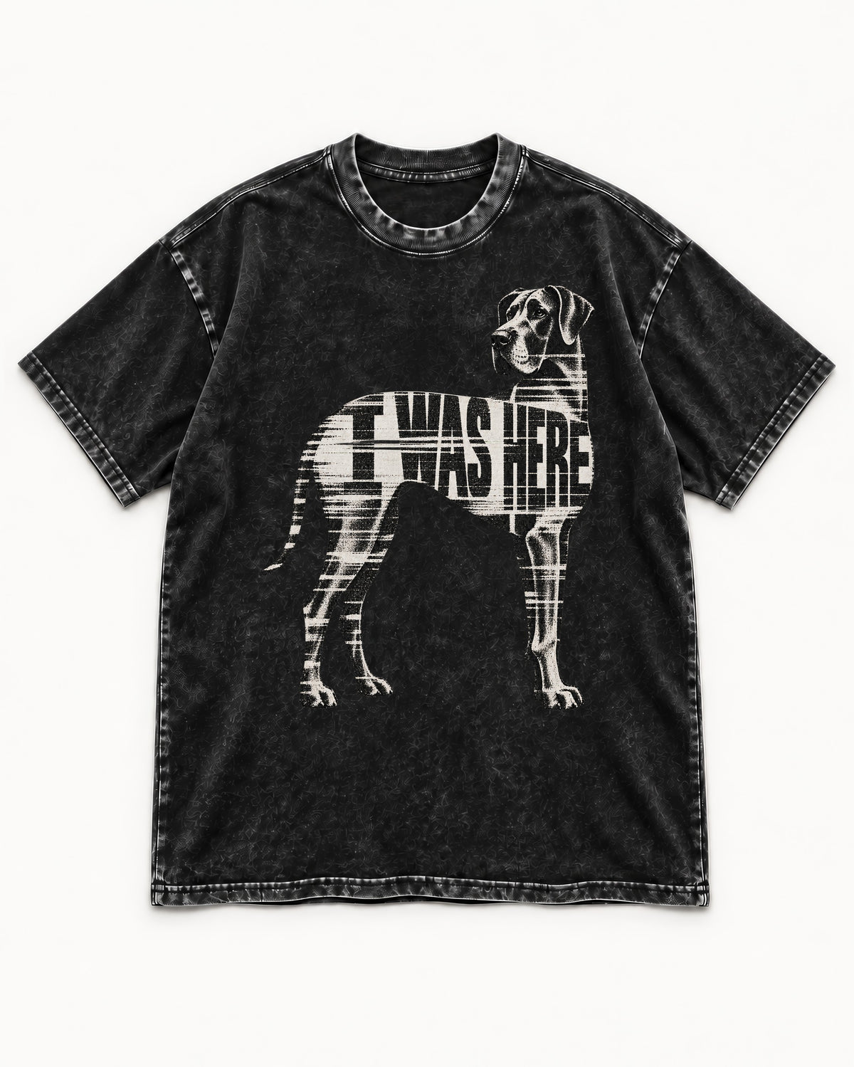 Great Dane I Was Here Plaid Silhouette Graphic Washed Tee in Black, flat lay product photo