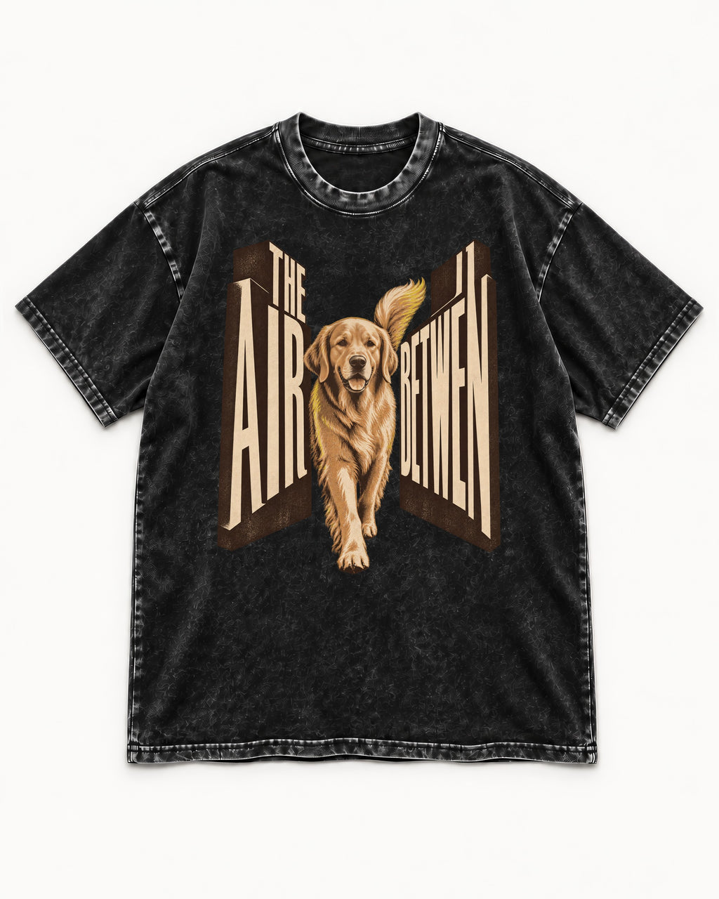 The Air Between Dimensional Golden Retriever Graphic Washed Tee in Black, flat lay product photo
