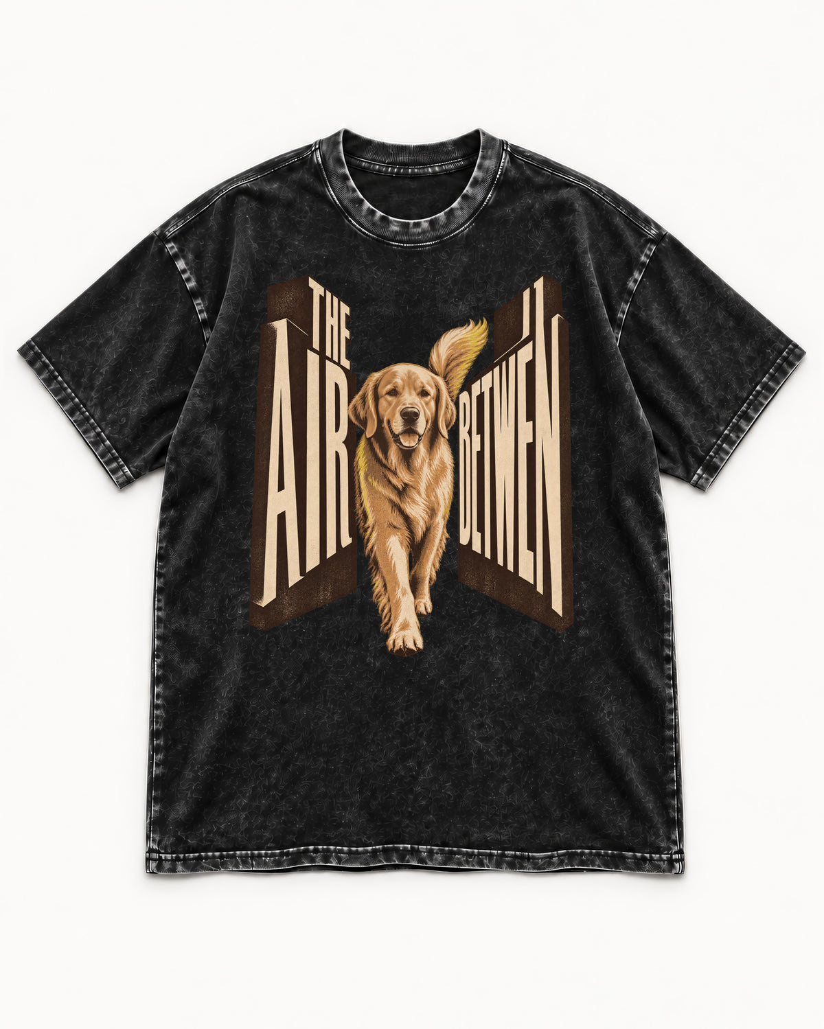 The Air Between Dimensional Golden Retriever Graphic Washed Tee in Black, flat lay product photo