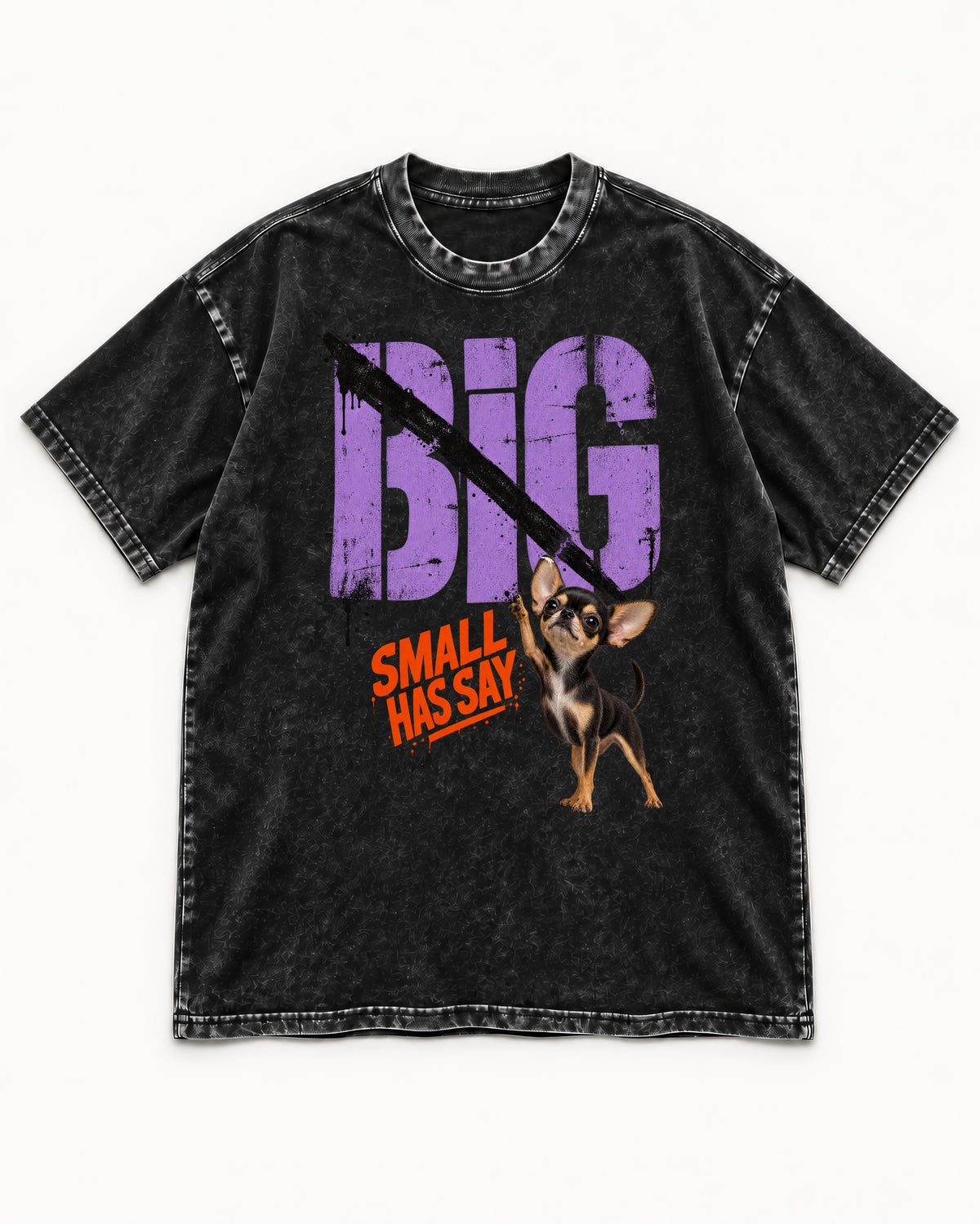 Chihuahua Big Small Has Say Diagonal Slash Graphic Washed Tee in Black, flat lay product photo