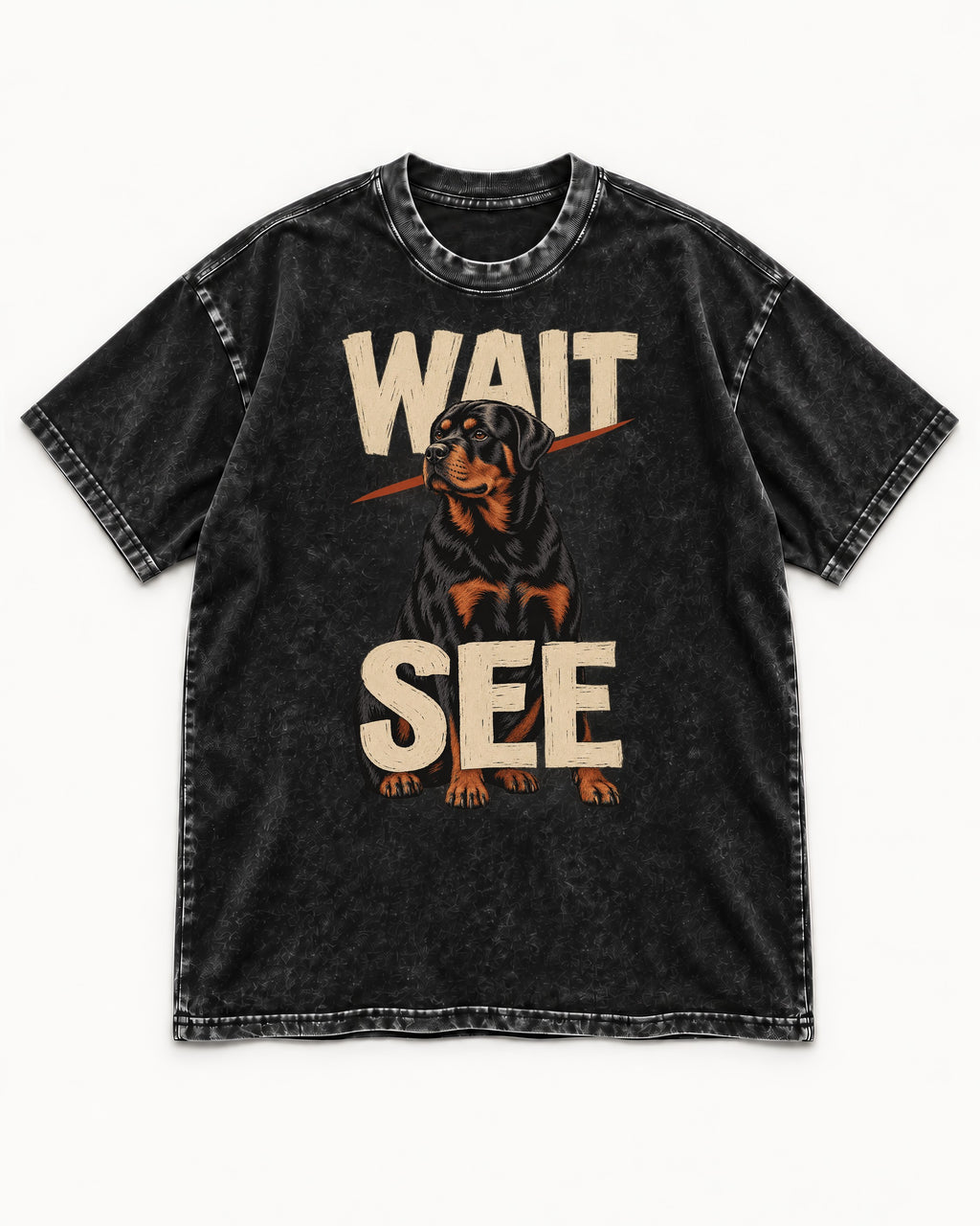 Wait See Rottweiler Seated Slash Graphic Washed Tee in Black, flat lay product photo